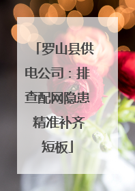 罗山县供电公司：排查配网隐患 精准补齐短板
