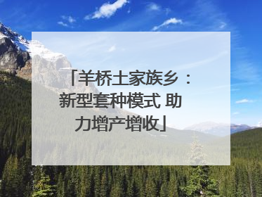 羊桥土家族乡：新型套种模式 助力增产增收
