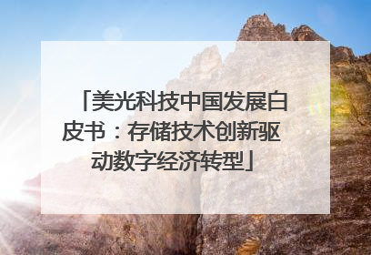 美光科技中国发展白皮书：存储技术创新驱动数字经济转型