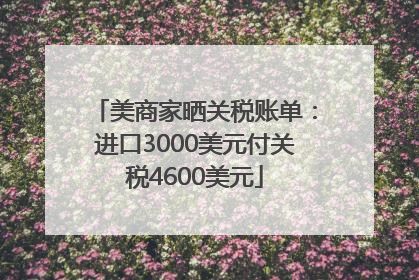 美商家晒关税账单：进口3000美元付关税4600美元