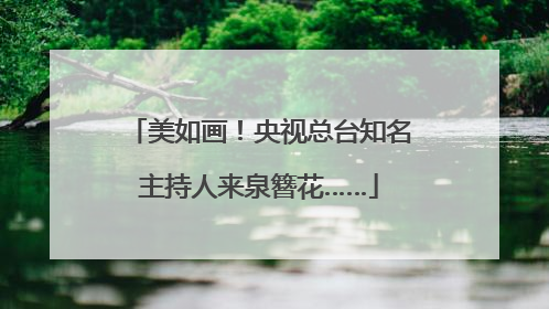 美如画！央视总台知名主持人来泉簪花……