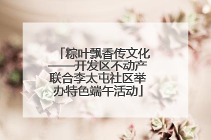 粽叶飘香传文化——开发区不动产联合李太屯社区举办特色端午活动