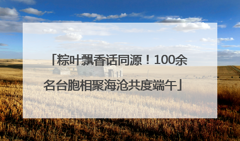 粽叶飘香话同源！100余名台胞相聚海沧共度端午