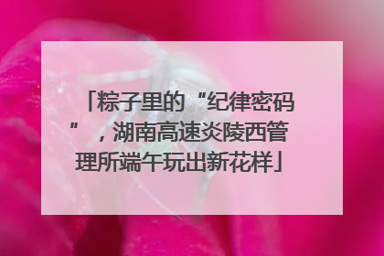 粽子里的“纪律密码”，湖南高速炎陵西管理所端午玩出新花样