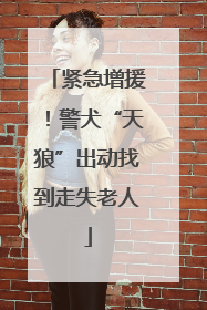 紧急增援！警犬“天狼”出动找到走失老人