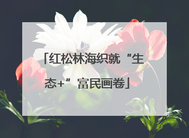 红松林海织就“生态+”富民画卷