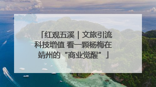 红观五溪｜文旅引流 科技增值 看一颗杨梅在靖州的“商业觉醒”