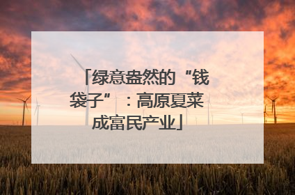 绿意盎然的“钱袋子”：高原夏菜成富民产业