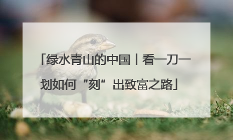 绿水青山的中国丨看一刀一划如何“刻”出致富之路