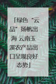 绿色“云品”扬帆出海 云南玉溪农产品出口呈现良好态势
