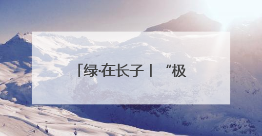 绿·在长子丨“极危精灵”黄胸鹀到长子营“旅游”