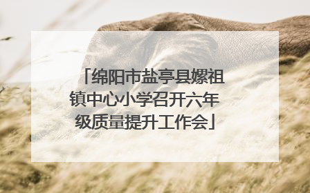 绵阳市盐亭县嫘祖镇中心小学召开六年级质量提升工作会
