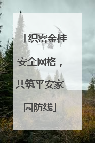 织密金桂安全网格，共筑平安家园防线