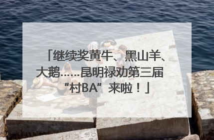 继续奖黄牛、黑山羊、大鹅……昆明禄劝第三届“村BA”来啦！