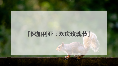 保加利亚：欢庆玫瑰节