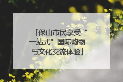 保山市民享受“一站式”国际购物与文化交流体验
