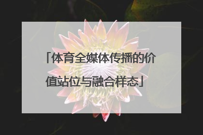 体育全媒体传播的价值站位与融合样态