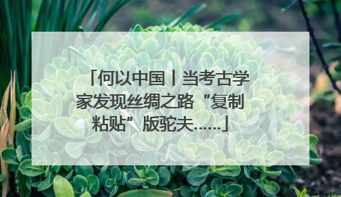 何以中国丨当考古学家发现丝绸之路“复制粘贴”版驼夫……
