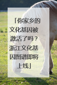 你家乡的文化基因被激活了吗？浙江文化基因图谱即将上线