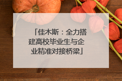 佳木斯：全力搭建高校毕业生与企业精准对接桥梁