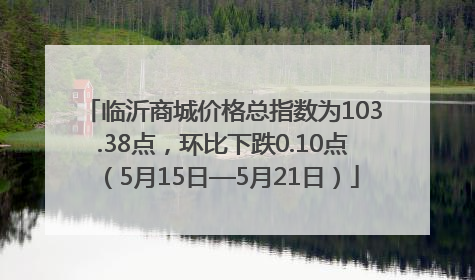 临沂商城价格总指数为103.38点，环比下跌0.10点（5月15日—5月21日）