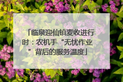 临泉迎仙镇麦收进行时：农机手“无忧作业”背后的服务温度