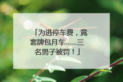 为逃停车费，竟套牌包月车……三名男子被罚！
