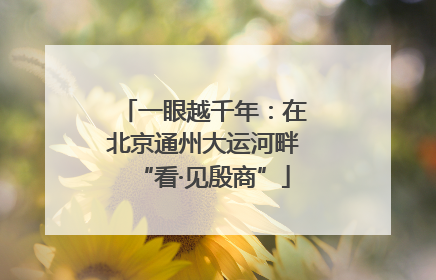 一眼越千年：在北京通州大运河畔“看·见殷商”