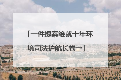 一件提案绘就十年环境司法护航长卷→