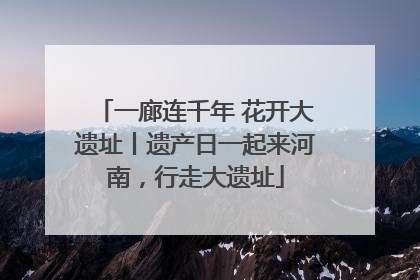 一廊连千年 花开大遗址丨遗产日一起来河南，行走大遗址