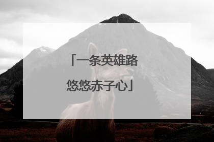 一条英雄路 悠悠赤子心