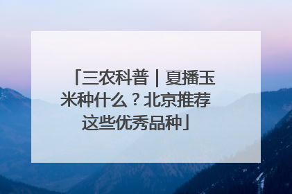 三农科普｜夏播玉米种什么？北京推荐这些优秀品种