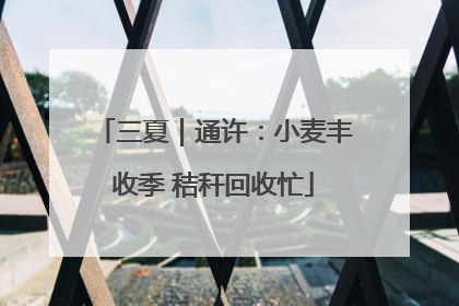 三夏｜通许：小麦丰收季 秸秆回收忙