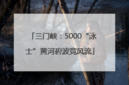 三门峡：5000“泳士”黄河碧波竞风流