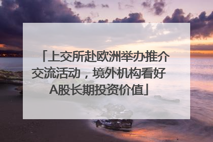 上交所赴欧洲举办推介交流活动，境外机构看好A股长期投资价值