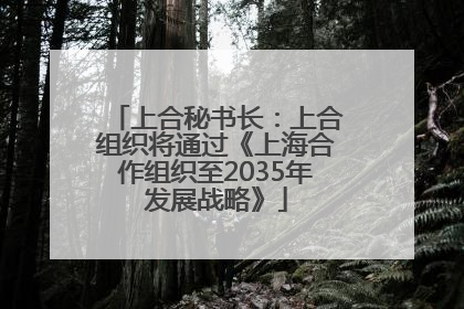 上合秘书长：上合组织将通过《上海合作组织至2035年发展战略》