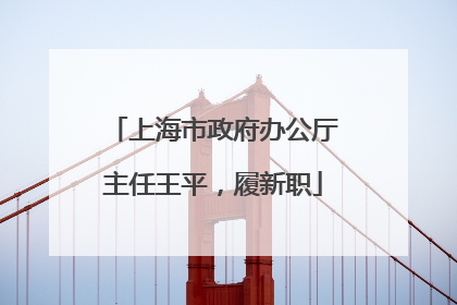 上海市政府办公厅主任王平，履新职