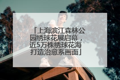 上海滨江森林公园绣球花展启幕，近5万株绣球花海打造治愈系画面