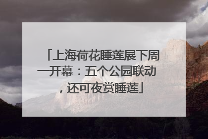 上海荷花睡莲展下周一开幕：五个公园联动，还可夜赏睡莲