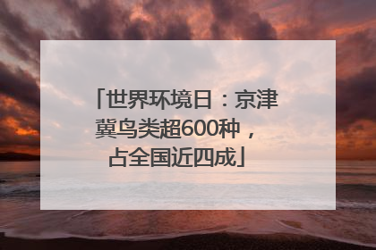 世界环境日：京津冀鸟类超600种，占全国近四成