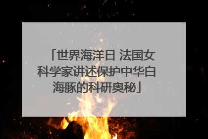 世界海洋日 法国女科学家讲述保护中华白海豚的科研奥秘