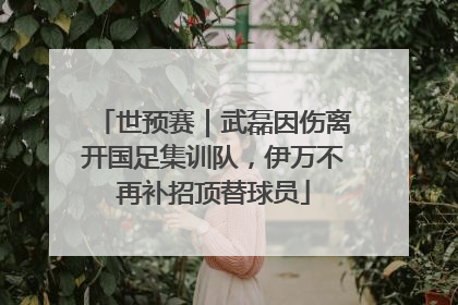 世预赛｜武磊因伤离开国足集训队，伊万不再补招顶替球员