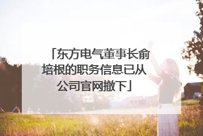 东方电气董事长俞培根的职务信息已从公司官网撤下