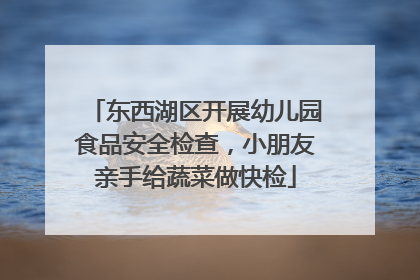 东西湖区开展幼儿园食品安全检查，小朋友亲手给蔬菜做快检