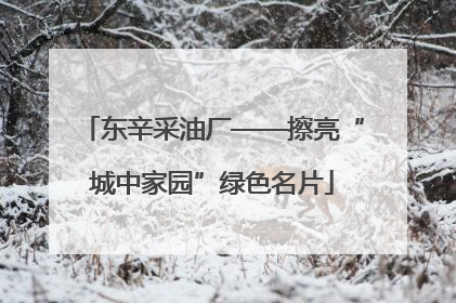 东辛采油厂——擦亮“城中家园”绿色名片