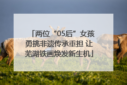 两位“05后”女孩勇挑非遗传承重担 让芜湖铁画焕发新生机