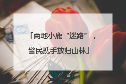 两地小鹿“迷路”，警民携手放归山林