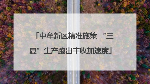 中牟新区精准施策 “三夏”生产跑出丰收加速度
