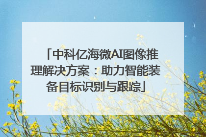 中科亿海微AI图像推理解决方案：助力智能装备目标识别与跟踪