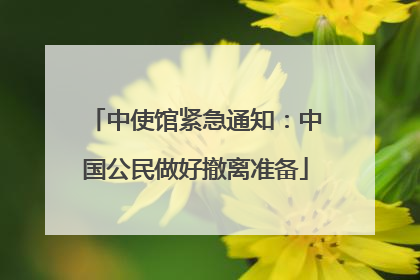 中使馆紧急通知：中国公民做好撤离准备